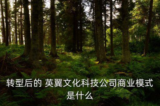 上海英翼傳媒,上?？埔韨髅皆趺礃庸緢D片
