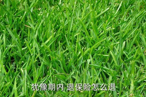  猶豫期內 退保險怎么退
