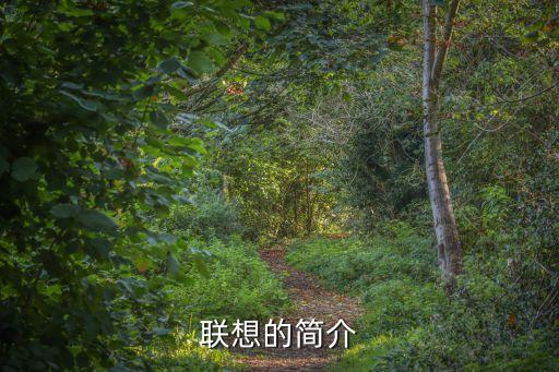 聯(lián)想集團(tuán)在濟(jì)南有子公司嗎,聯(lián)想子公司和聯(lián)想集團(tuán)待遇一樣嗎