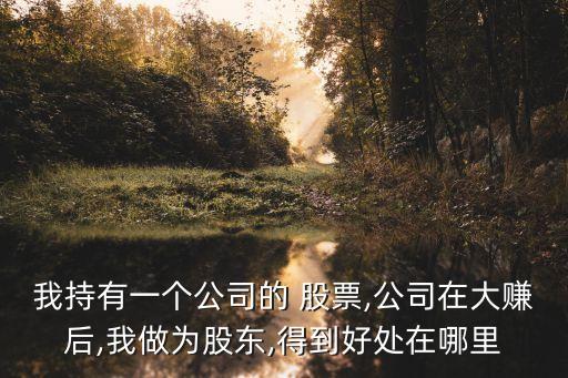 股份公司賺錢(qián)股票為什么會(huì)升值