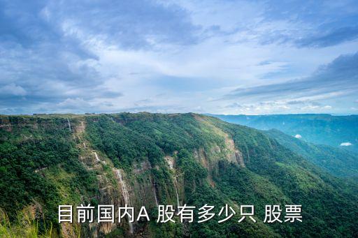 目前國內(nèi)A 股有多少只 股票