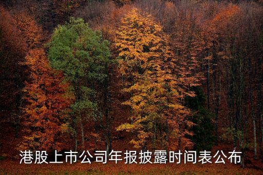 中國移動2015年財(cái)務(wù)報表
