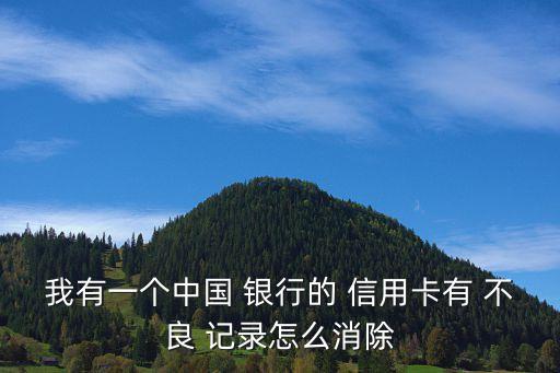 我有一個(gè)中國 銀行的 信用卡有 不良 記錄怎么消除