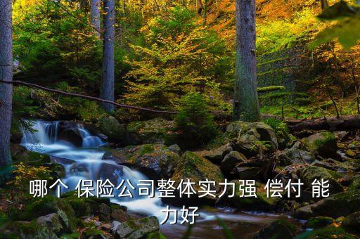 2015保險公司償付能力,保險公司償付能力達(dá)標(biāo)標(biāo)準(zhǔn)