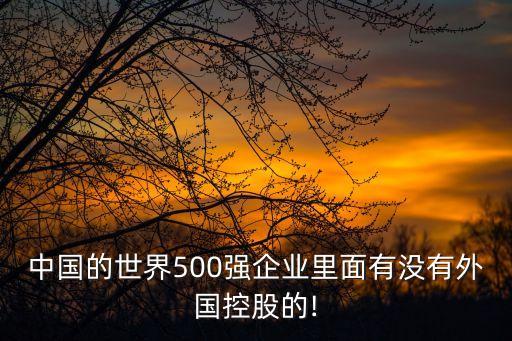 中國的世界500強企業(yè)里面有沒有外國控股的!