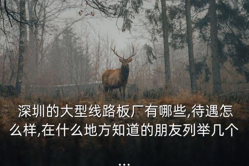  深圳的大型線路板廠有哪些,待遇怎么樣,在什么地方知道的朋友列舉幾個(gè)...