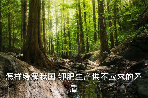 鉀肥公司意見(jiàn)稿,中國(guó)最大的鉀肥公司