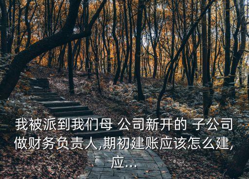 我被派到我們母 公司新開的 子公司做財務負責人,期初建賬應該怎么建,應...