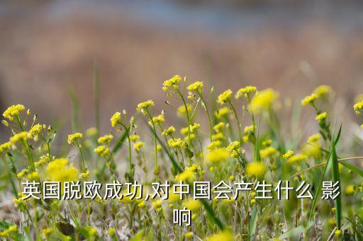 英脫歐對(duì)中國影響