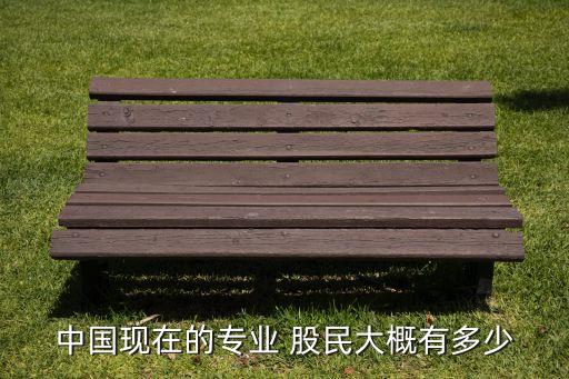 中國(guó)現(xiàn)在的專(zhuān)業(yè) 股民大概有多少