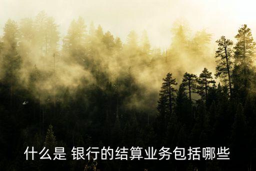 什么是 銀行的結(jié)算業(yè)務包括哪些