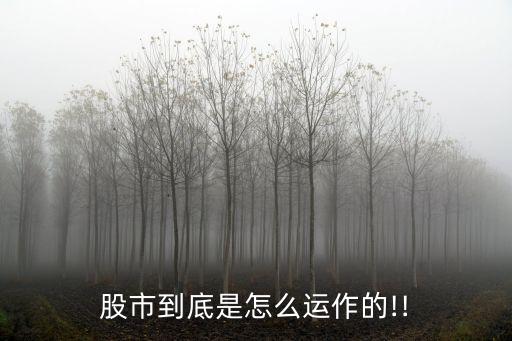 股市到底是怎么運作的!!