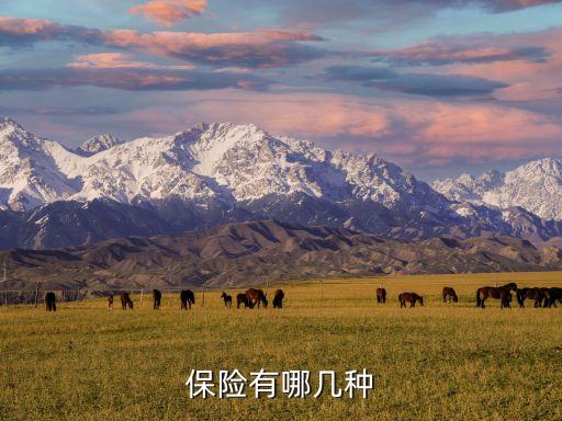 中國(guó)再保險(xiǎn)分為哪幾類(lèi),再保險(xiǎn)形式分為哪幾種