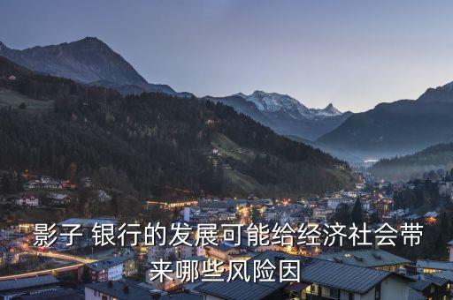  影子 銀行的發(fā)展可能給經(jīng)濟社會帶來哪些風險因