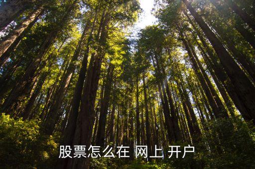 可以網(wǎng)上開(kāi)戶的證券公司,網(wǎng)上開(kāi)戶證券公司有風(fēng)險(xiǎn)嗎