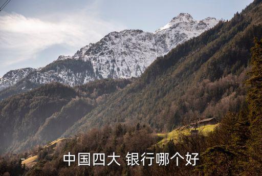 中國四大 銀行哪個(gè)好