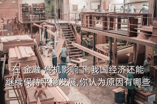 中國金融危機下