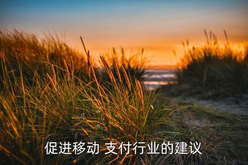 促進移動 支付行業(yè)的建議