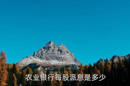  農業(yè)銀行每股派息是多少