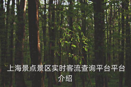  上海景點(diǎn)景區(qū)實(shí)時(shí)客流查詢平臺(tái)平臺(tái)介紹