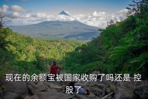 現(xiàn)在的余額寶被國(guó)家收購(gòu)了嗎還是 控股了