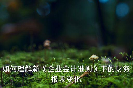 如何理解新《企業(yè)會計準則》下的財務報表變化