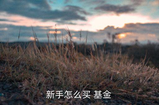 新手怎么買(mǎi) 基金