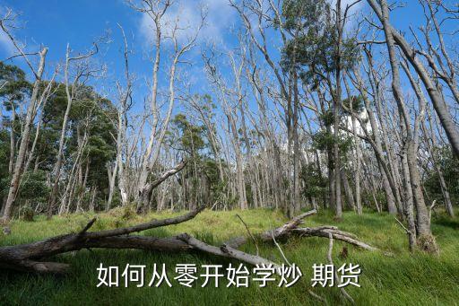 如何從零開始學炒 期貨
