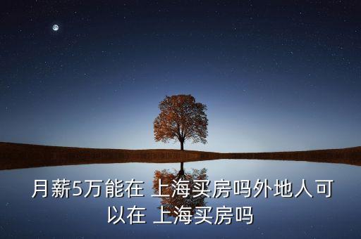 月薪五萬上海什么水平,美國(guó)月薪五萬美金什么水平