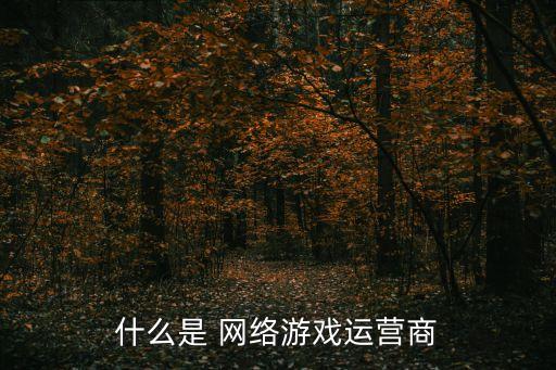 什么是 網(wǎng)絡游戲運營商