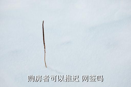 上海中介讓二次網簽