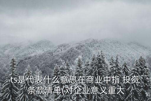 ts是代表什么意思在商業(yè)中指 投資 條款清單(對企業(yè)意義重大