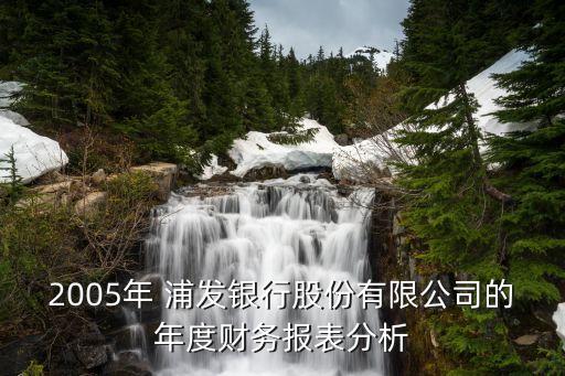 2005年 浦發(fā)銀行股份有限公司的年度財務(wù)報表分析