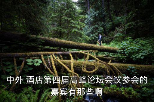 海航酒店集團(tuán)白海波,海航白海波簡介