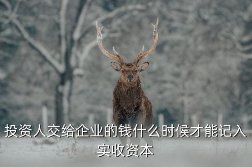 投資人交給企業(yè)的錢(qián)什么時(shí)候才能記入實(shí)收資本