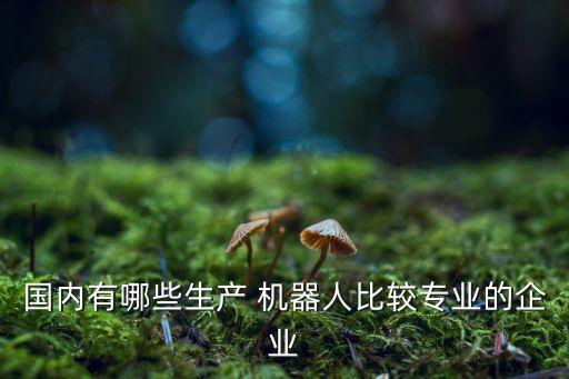 全國機器人公司,國內(nèi)工業(yè)機器人公司排名