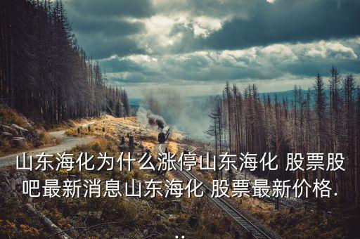 豐?？萍脊善惫蓛r