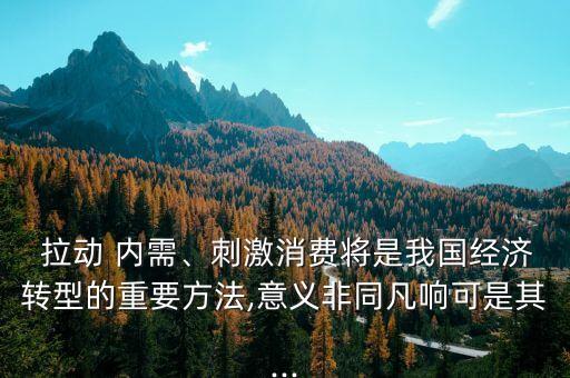  拉動(dòng) 內(nèi)需、刺激消費(fèi)將是我國經(jīng)濟(jì)轉(zhuǎn)型的重要方法,意義非同凡響可是其...