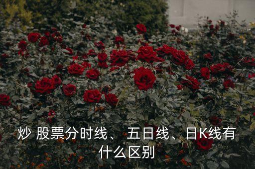 炒 股票分時線、 五日線、日K線有什么區(qū)別