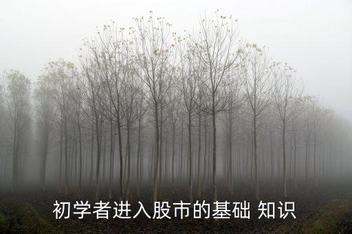 初學(xué)者進(jìn)入股市的基礎(chǔ) 知識(shí)