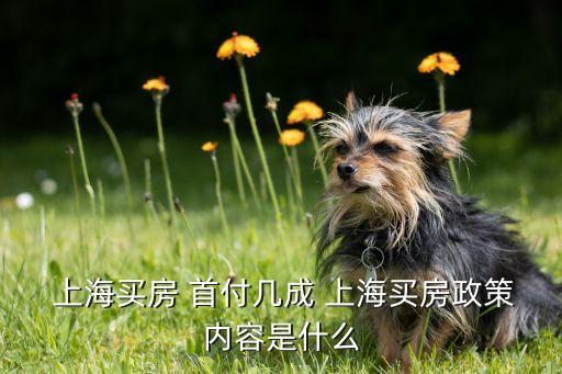  上海買(mǎi)房 首付幾成 上海買(mǎi)房政策內(nèi)容是什么