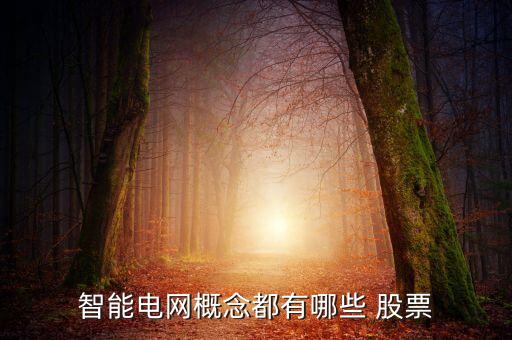 智能電網概念都有哪些 股票