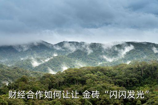 金磚國家開發(fā)銀行面臨的挑戰(zhàn),新金磚國家開發(fā)銀行