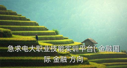 急求電大職業(yè)技能實訓平臺( 金融國際 金融 方向