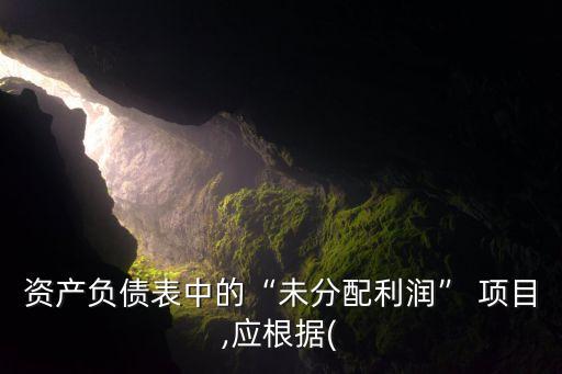資產(chǎn)負(fù)債表中的“未分配利潤” 項(xiàng)目,應(yīng)根據(jù)(