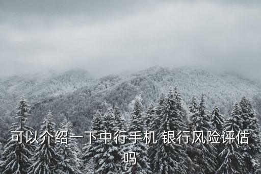 可以介紹一下中行手機 銀行風險評估嗎