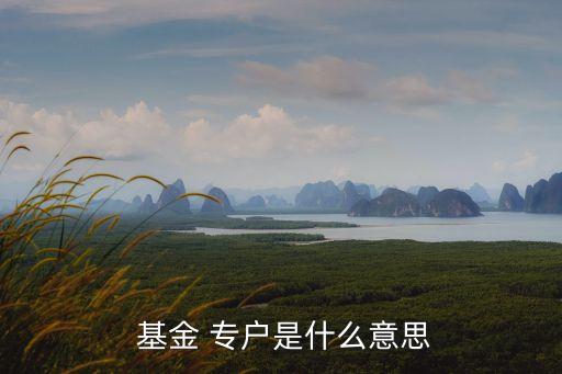 基金專戶產(chǎn)品由誰(shuí)監(jiān)管,公募基金專戶產(chǎn)品是私募