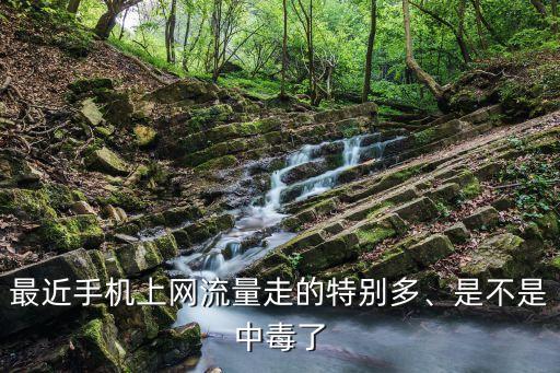 最近手機上網(wǎng)流量走的特別多、是不是中毒了