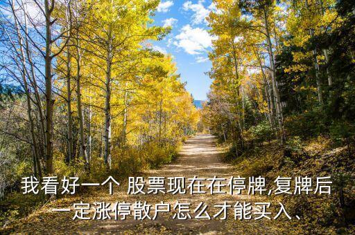 我看好一個(gè) 股票現(xiàn)在在停牌,復(fù)牌后一定漲停散戶怎么才能買入、