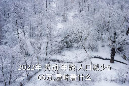 2022年 勞動(dòng) 年齡 人口減少666萬,意味著什么